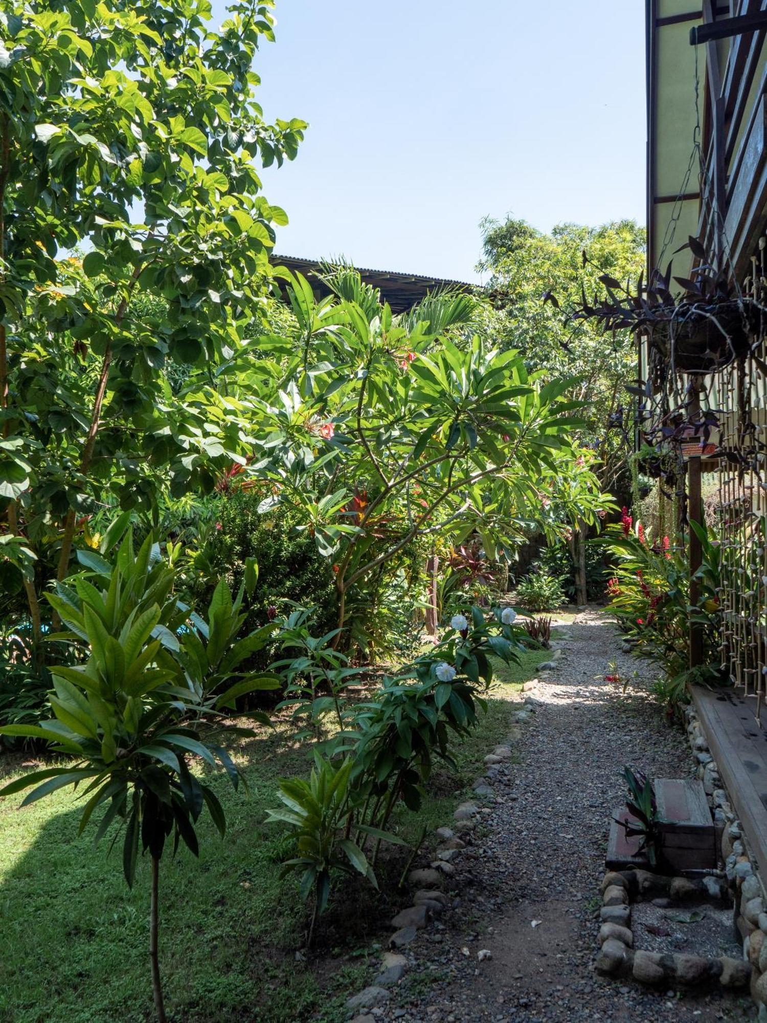 Nuba Boutique Hostel Palomino Dış mekan fotoğraf
